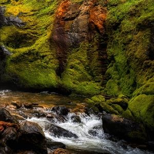 Meet your Posher, Natasha